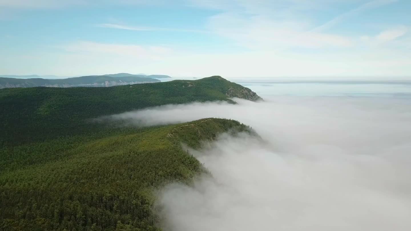 Fog at dawn in the mountains